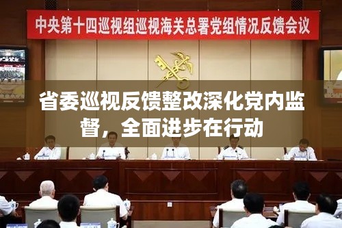 省委巡视反馈整改深化党内监督，全面进步在行动