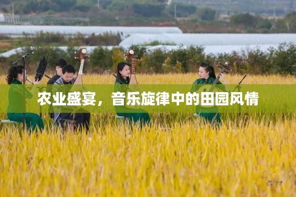 农业盛宴,音乐旋律中的田园风情