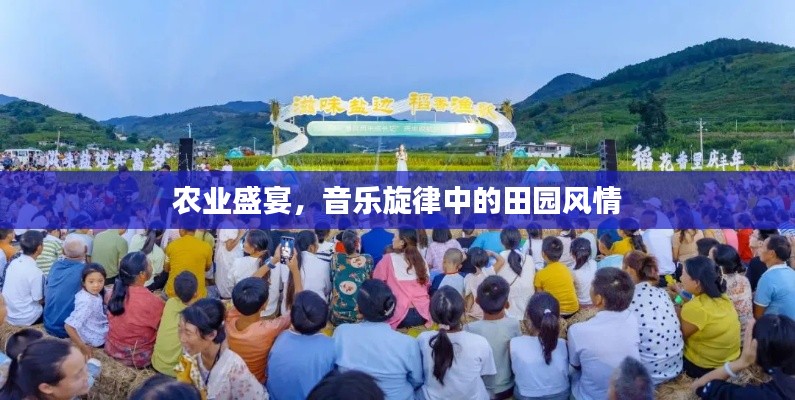 农业盛宴,音乐旋律中的田园风情