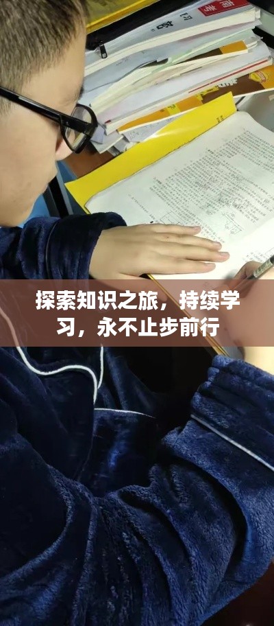 夯雀儿先飞 第4页