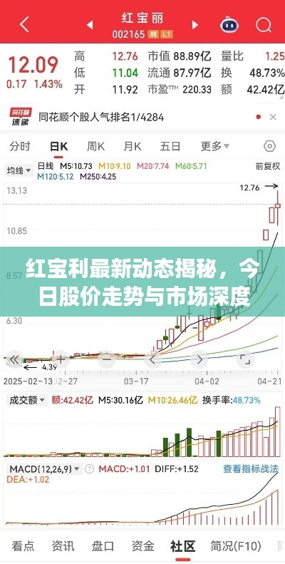 红宝利最新动态揭秘,今日股价走势与市场深度解读