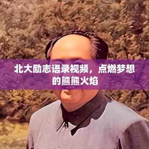 北大励志语录视频，点燃梦想的熊熊火焰