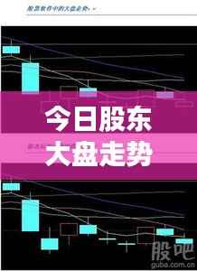 今日股东大盘走势深度解析