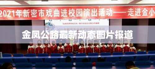 金凤公路最新动态图片报道