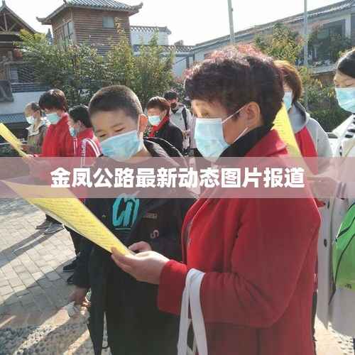 金凤公路最新动态图片报道