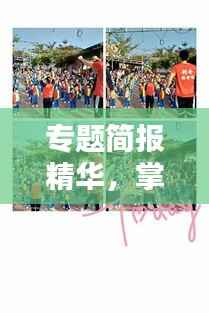 专题简报精华，掌握各领域最新动态资讯