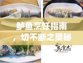 鲈鱼烹饪指南，切不断之奥秘与烹饪技巧探索