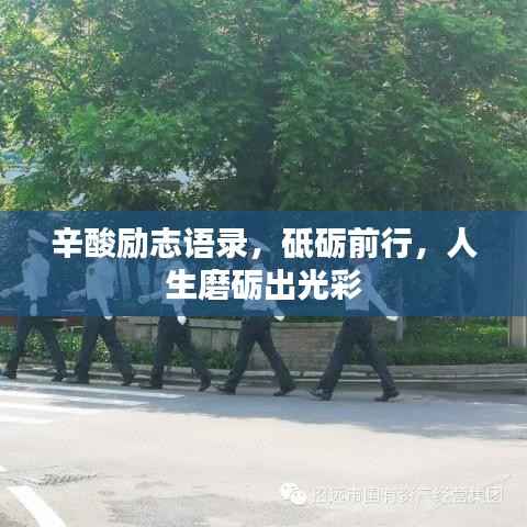 辛酸励志语录，砥砺前行，人生磨砺出光彩