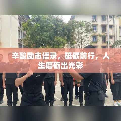 辛酸励志语录,砥砺前行,人生磨砺出光彩