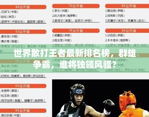 世界散打王者最新排名榜，群雄争霸，谁将独领风骚？