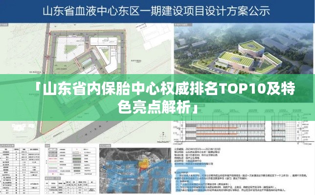 「山东省内保胎中心权威排名TOP10及特色亮点解析」