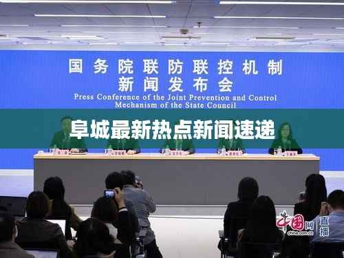 阜城最新热点新闻速递