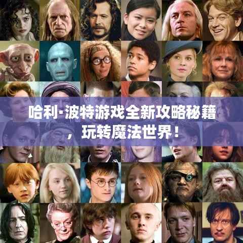 哈利·波特游戏全新攻略秘籍,玩转魔法世界!