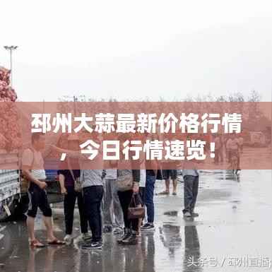 邳州大蒜最新价格行情，今日行情速览！