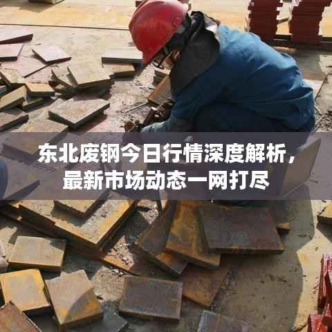 东北废钢今日行情深度解析,最新市场动态一网打尽
