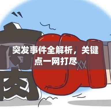 突发事件全解析，关键点一网打尽