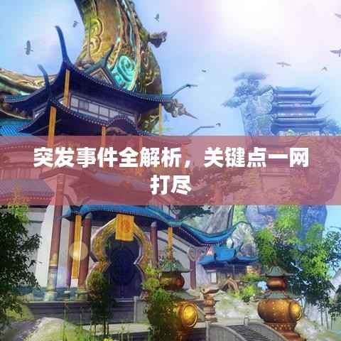 突发事件全解析,关键点一网打尽