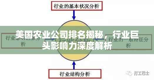 美国农业公司排名揭秘,行业巨头影响力深度解析