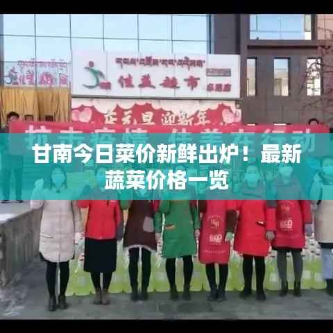 甘南今日菜价新鲜出炉！最新蔬菜价格一览