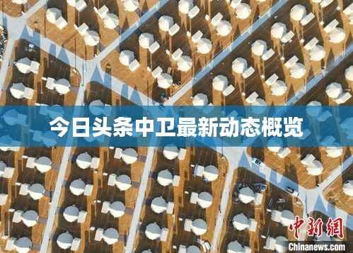 今日头条中卫最新动态概览