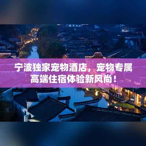 宁波独家宠物酒店，宠物专属高端住宿体验新风尚！