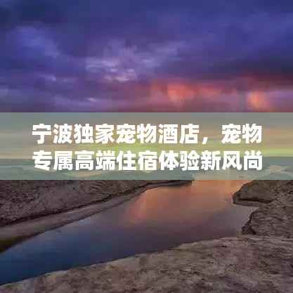 宁波独家宠物酒店,宠物专属高端住宿体验新风尚!