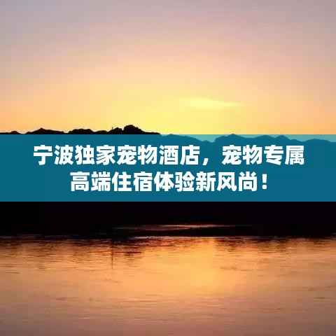 宁波独家宠物酒店,宠物专属高端住宿体验新风尚!