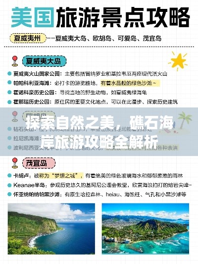 探索自然之美，礁石海岸旅游攻略全解析