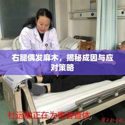 右腿偶发麻木,揭秘成因与应对策略