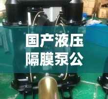 国产液压隔膜泵公司排行榜及行业影响力解析