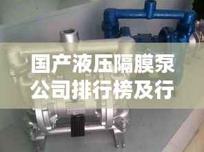 国产液压隔膜泵公司排行榜及行业影响力解析