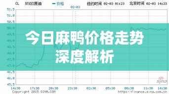 今日麻鸭价格走势深度解析