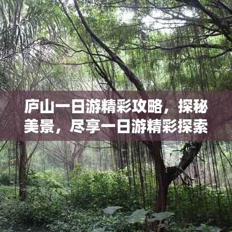 庐山一日游精彩攻略,探秘美景,尽享一日游精彩探索