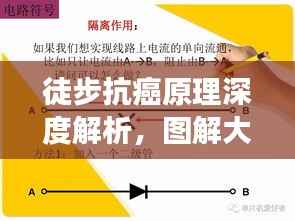 步履如飞 第4页