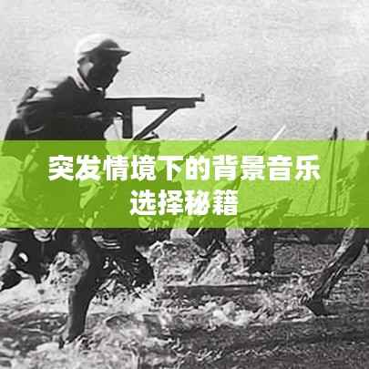 突发情境下的背景音乐选择秘籍