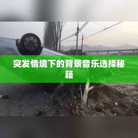 突发情境下的背景音乐选择秘籍