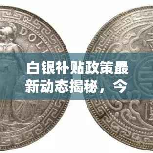 白银补贴政策最新动态揭秘，今日更新，机会不容错过！