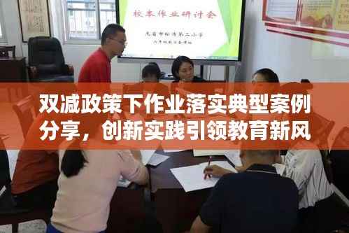 双减政策下作业落实典型案例分享，创新实践引领教育新风尚