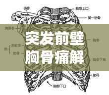 突发前壁胸骨痛解析,症状原因与应急措施