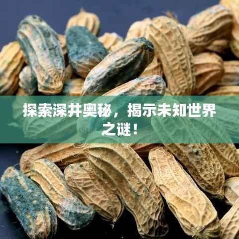 探索深井奥秘,揭示未知世界之谜!