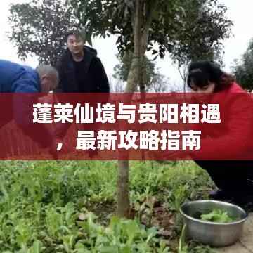 蓬莱仙境与贵阳相遇，最新攻略指南