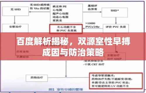 百度解析揭秘，双源室性早搏成因与防治策略