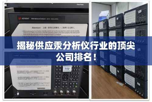 揭秘供应汞分析仪行业的顶尖公司排名!