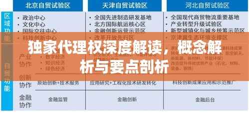 独家代理权深度解读，概念解析与要点剖析
