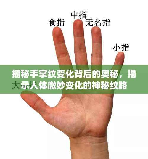 揭秘手掌纹变化背后的奥秘，揭示人体微妙变化的神秘纹路