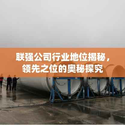 联强公司行业地位揭秘，领先之位的奥秘探究