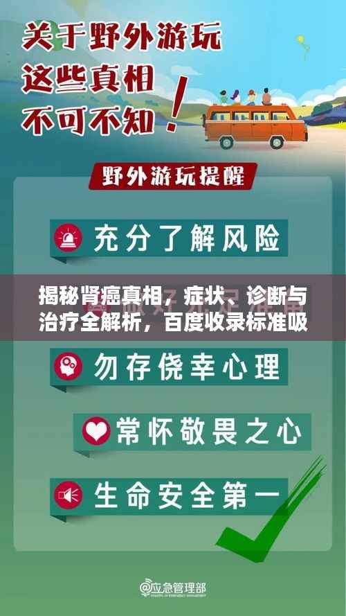 揭秘肾癌真相，症状、诊断与治疗全解析，百度收录标准吸睛标题！