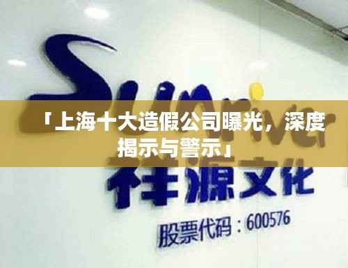 「上海十大造假公司曝光，深度揭示与警示」