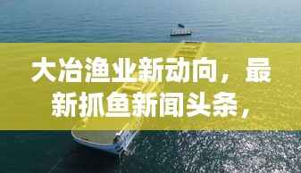 大冶渔业新动向，最新抓鱼新闻头条，揭秘当地渔业发展亮点