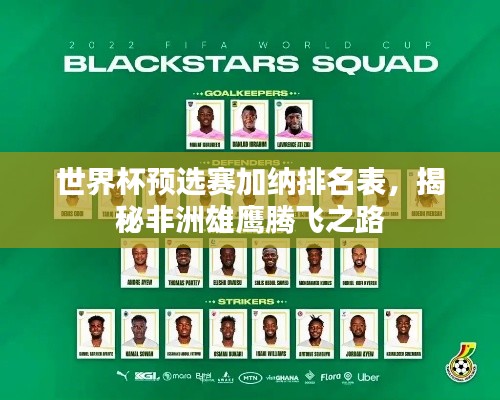 世界杯预选赛加纳排名表,揭秘非洲雄鹰腾飞之路